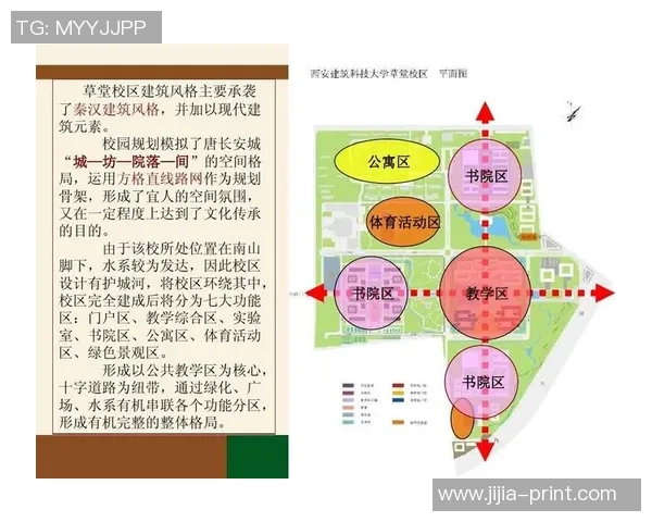 西安排球队个人能力分析与发展策略探讨